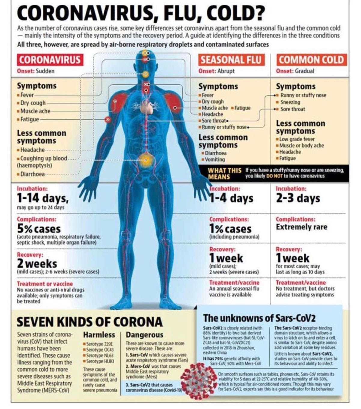 corona virus symptoms day by day